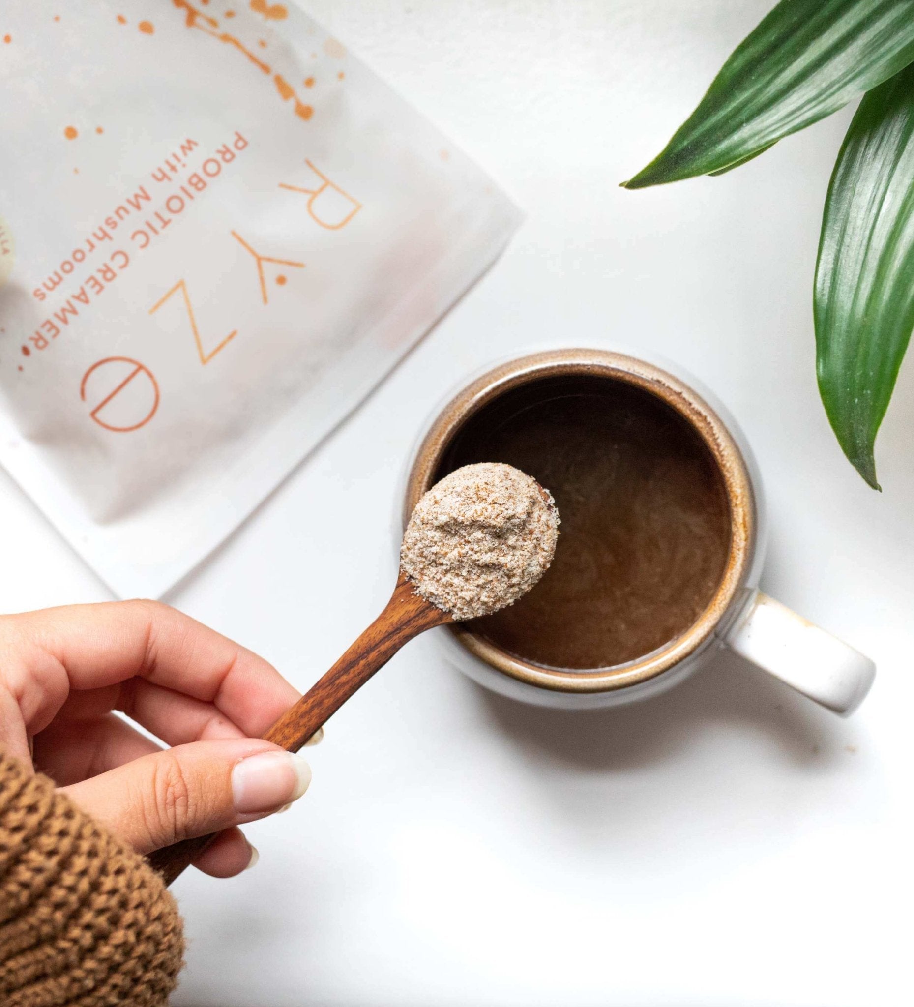 Try our Probiotic Creamer for